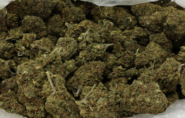 Purchase MJ Flower